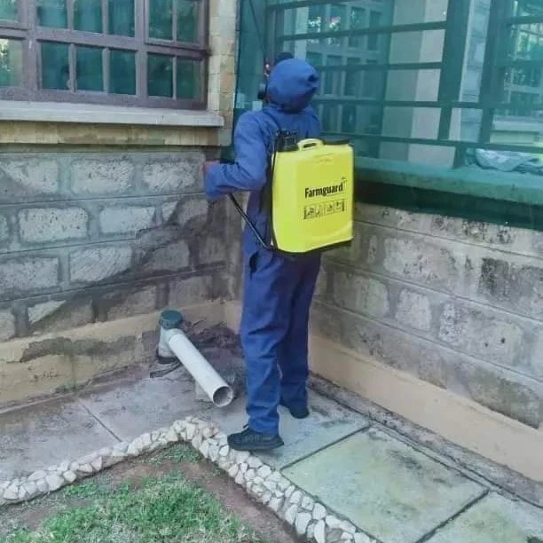 Fumigation Services in Kenya