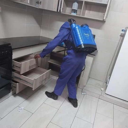 Professional Cleaning Services in Kenya