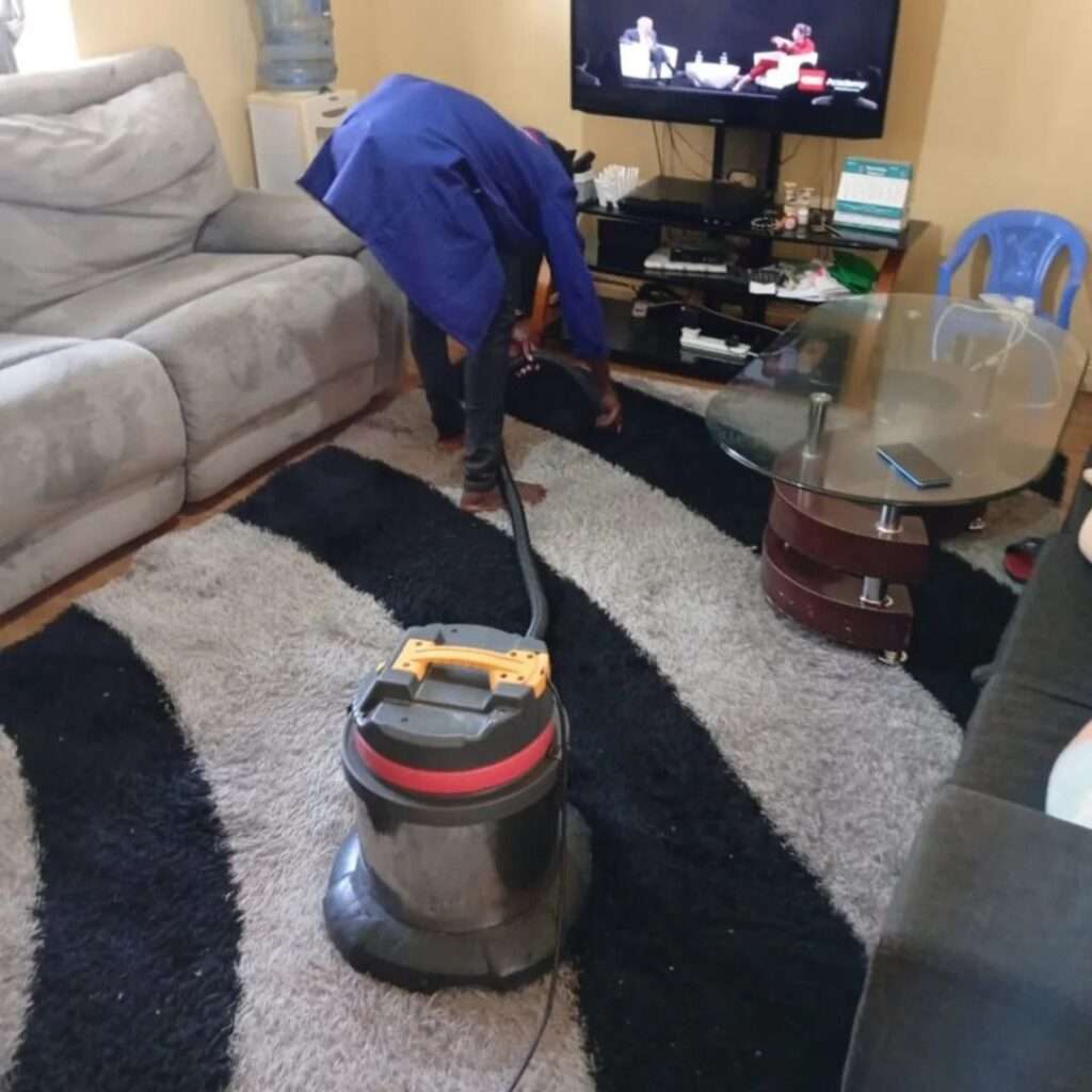 Professional cleaning and fumigation services in Nairobi