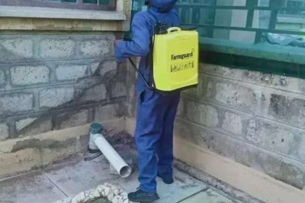 Fumigation Services in Kenya