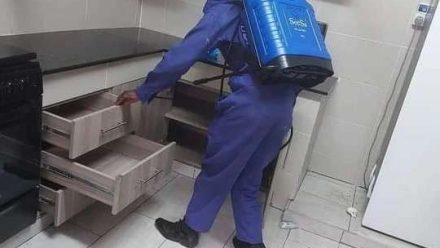 Professional Cleaning Services in Kenya